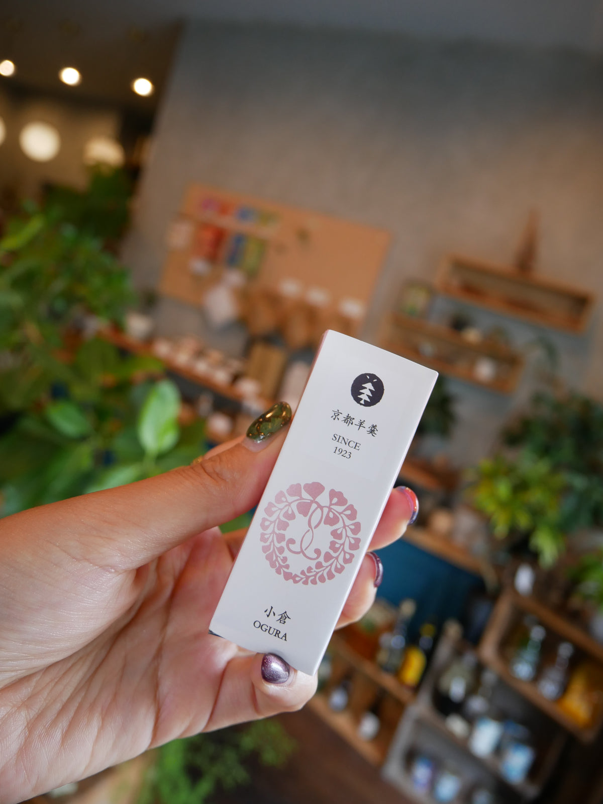 京都羊羹 珈琲